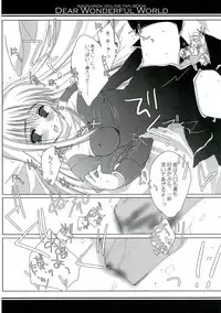 (C68) [A.L.C (Kannazuki Nem)] DEAR WONDERFUL WORLD (Ragnarok Online)