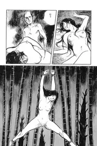 [Koike Kazuo, Kojima Goseki] Hanzou no Mon Vol.11