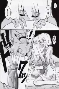 [St. Rio (Kitty, Ishikawa Ippei)] COSMIC BREED 4 (Gundam SEED DESTINY)