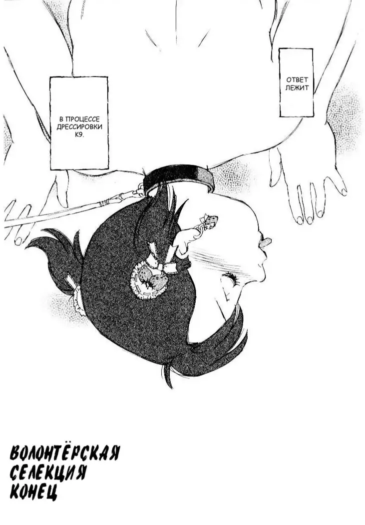 Volunteer Breeding Ch.8