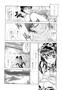 [Shimao Kazu] Flower