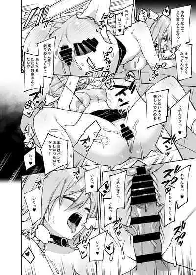 Secret Liner SR1-bin