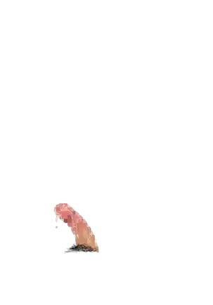 Yuuka-Chirabatta Daiyoukai no Kakera-