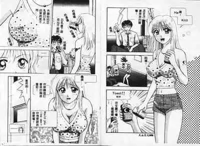 Chousa File H - Investigation File