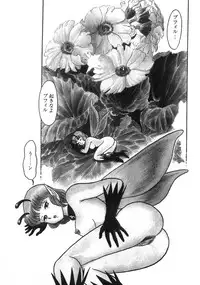 [Kondom] Bondage Fairies Zannin Shimai