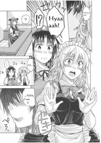 (C81) [Pigeon Blood (Asou Shin)] LOVE OR LUST (Touhou Project) [English]