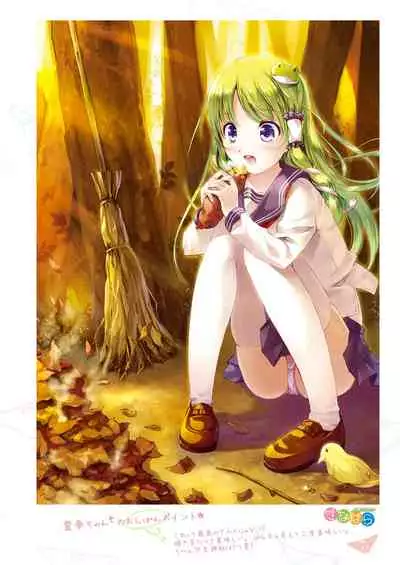 [Nanairo Otogizoushi (Miyase Mahiro)] SANA-P-Complete!+H (Touhou Project) [Digital]