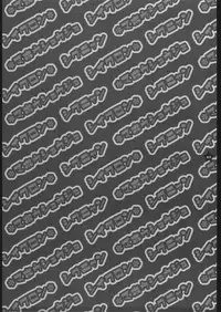 (C65) [Shigunyan (Shigunyan)] Mahou Shoujo Shiikuron (Harry Potter)