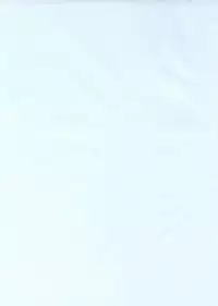 (C62) [Laurier (Kurosaki Mairi)] Puchi Petit