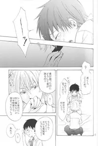 (C83) [Praline (Suzunari Natsuru)] Nr.9 (Neon Genesis Evangelion)