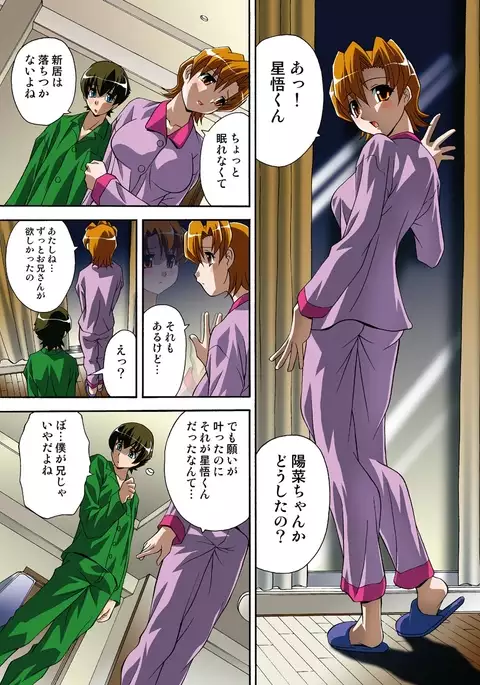 Itsuka Imouto o Okashisou na Ore no Nikuyoku