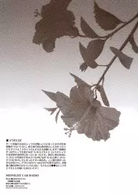 (C74) [CARNELIAN] MIDNIGHT CAR RADIO (Macross Frontier) [English] [SaHa]