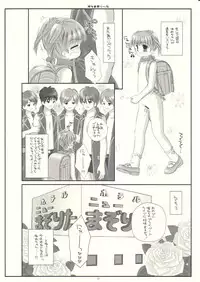 [ICE PINK] MAZOLITA Neo (C75)