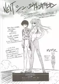 (C84) [BLUE GARNET (Serizawa Katsumi)] Wünder de Issho (Neon Genesis Evangelion)