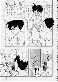 (C49) [Chirigami Goya / Fusuma Goten] Z (Dragonball)