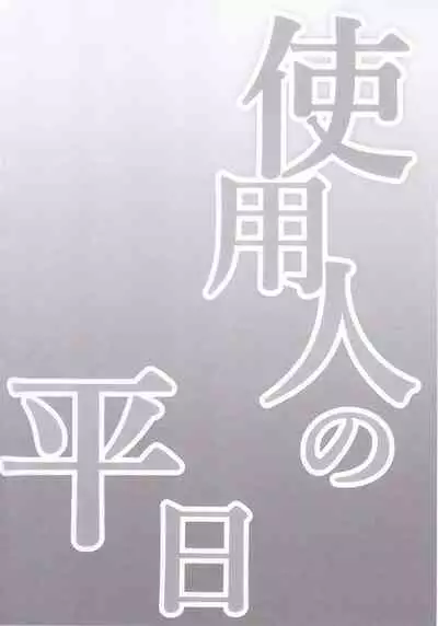 (Kouroumu 17) [Kingyo Origin (Kayama Rim)] Shiyounin no Heijitsu (Touhou Project)