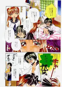 [Morinaga Milk] MILK SHELL