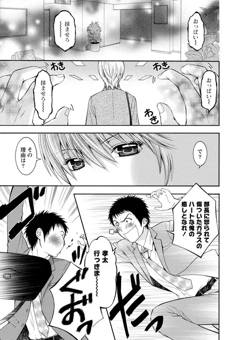 Paikano! Pururun Paimusu Paradise