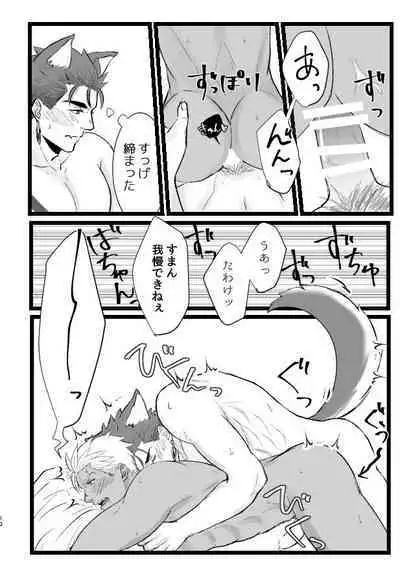 Hachamecha Wonderful Day