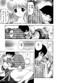 [Uetakano Oike] Shukujo Ryoujoku | Lady Rape