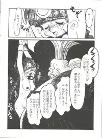 [Ogata Satomi] Kyouakuteki Shidou Selection (Various)