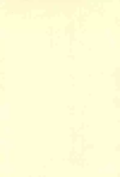 Moudoku no Melody o Anata no Kuchi ni Nejikonde ageru