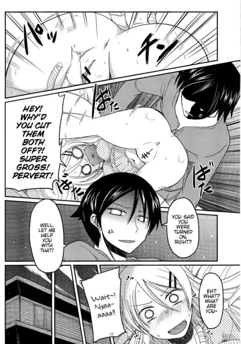 An Erotic Book With My Sister Obediently Meowing