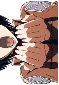 (C84) [LOST RARITIES (Takapiko)] JAN (Shingeki no Kyojin) [English] [#Based Anons]