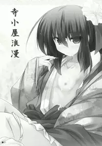 (Miaresai) [Jigizagi (Ai Takurou)] Terakoya Roman (Touhou Project)