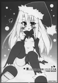 [THIRD BRAND] iriyaru to kouryaku Christmas hen (Fate) (C75)