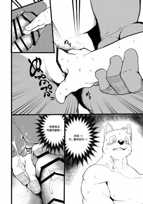 Veteran Lifesaver 1.5