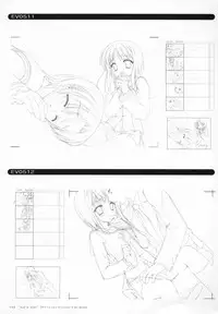 Bra-Ban Visual Fanbook