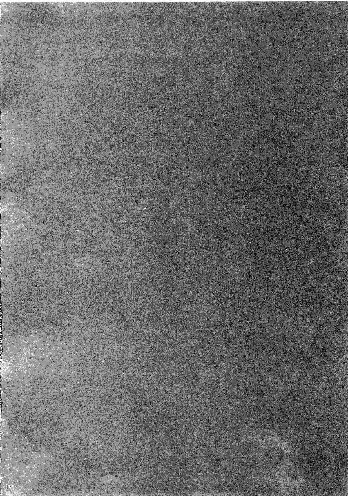 Highrisk of the Dead