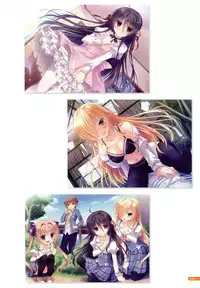 [Yukie] MOEOH Selection Flower Flower Yukie Gashuu