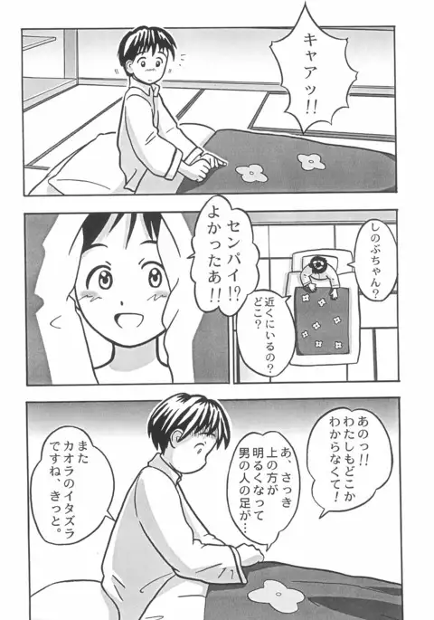 Futon SUPER GUTS SHINOBU