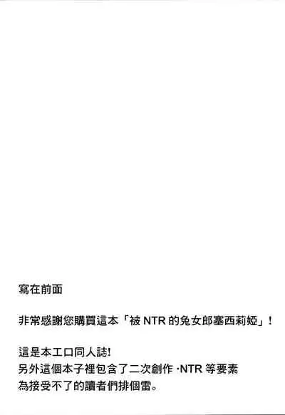 Baniria Netoria | 被NTR的兔女郎塞西莉婭