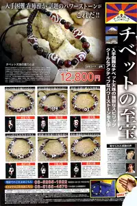 Monthly Vitaman 2008-11