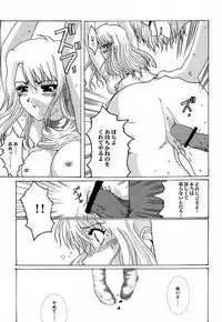 (SC12) [Neko to Hato (Hatoya Mameshichi)] Bouquet de Noir (Noir)