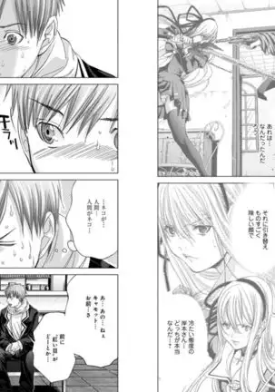 Holy Knight ~Junketsu to Ai no Hazama de~ Vol. 5