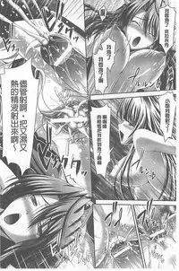 [Sinbo Tamaran, Takeuchi Ken] Harem Wedding The Sweet Honeymoon [Chinese]