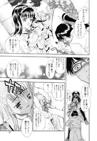 [Shimao Kazu] Flower