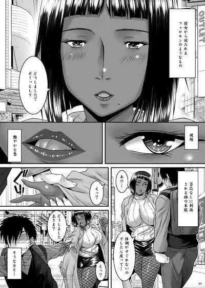 Setepaii noroi seijijo