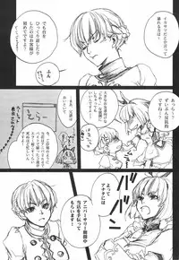 (C75) [Akai Tsubasa] LOVE FOOL.10 (Fantasy Earth Zero)