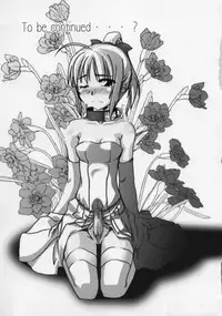 (C66) [Tougeyahonpo (Mutsuki Izumo)] Ousama no Kakushigoto. (Fate/stay night)