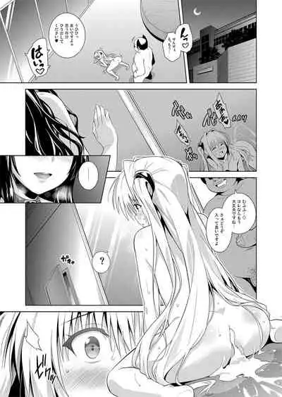 [sin-maniax (Todoroki Shin)] ToLOVEleS (To LOVE-Ru Darkness) [Digital]