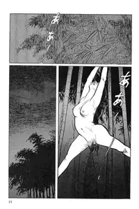 [Koike Kazuo, Kojima Goseki] Hanzou no Mon Vol.11