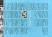 [Nishieda] Dendrobium