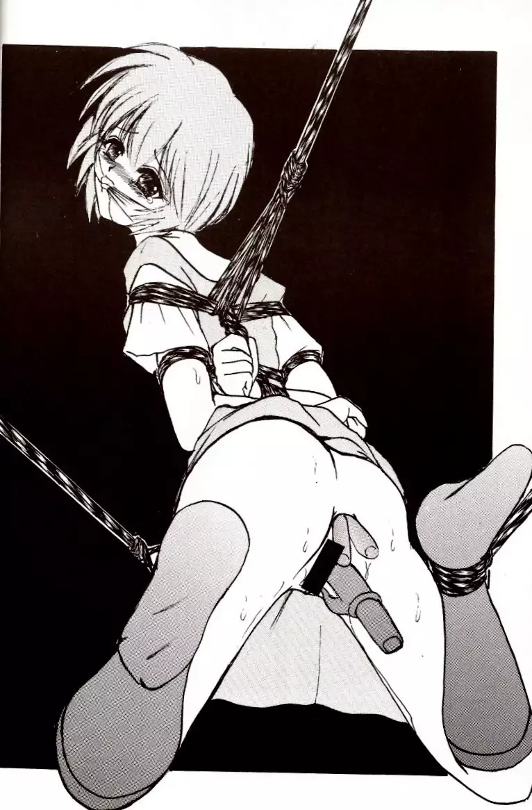 Second Hobaku Project 02