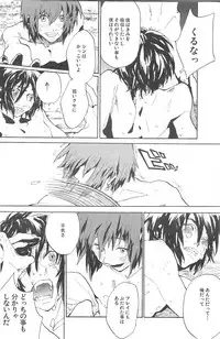 [NEO-de (Natsusaka)] Double Revival (Gundam Seed Destiny)