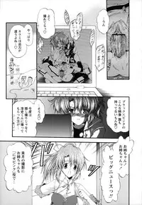 [Noraneko Nagaya] Horoama Omocha Hako